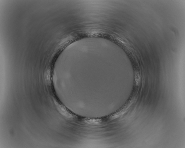 X0000110990670200907101432