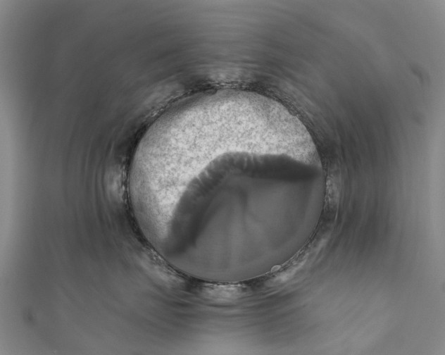 X0000110990671200907101432