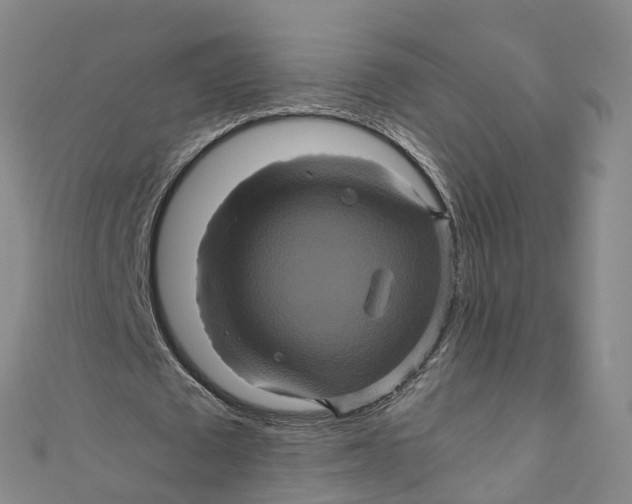 X0000110990673200907101431