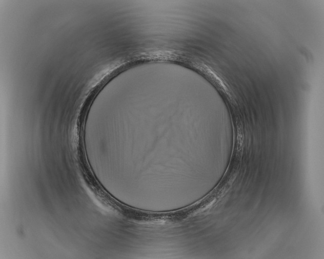 X0000110990674200907101431