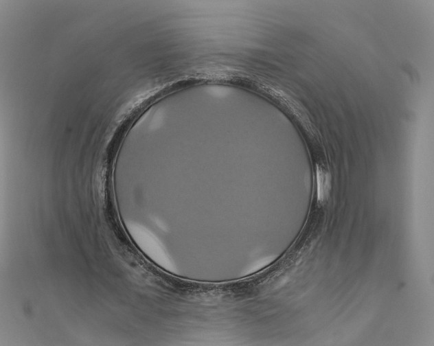 X0000110990675200907101431