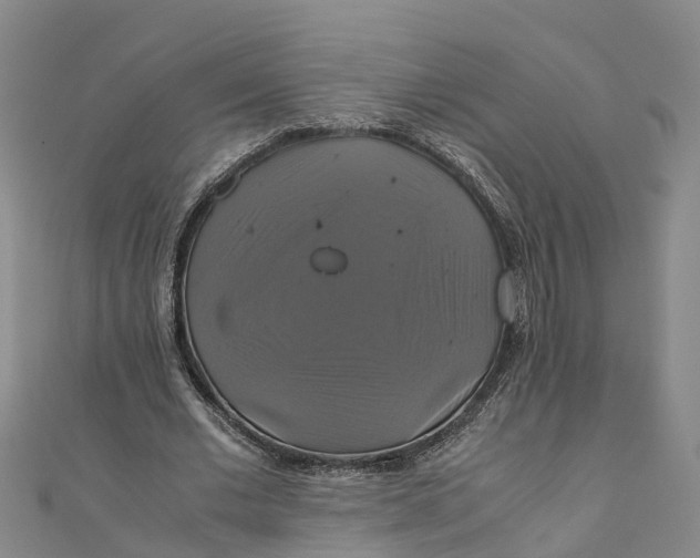 X0000110990677200907101431