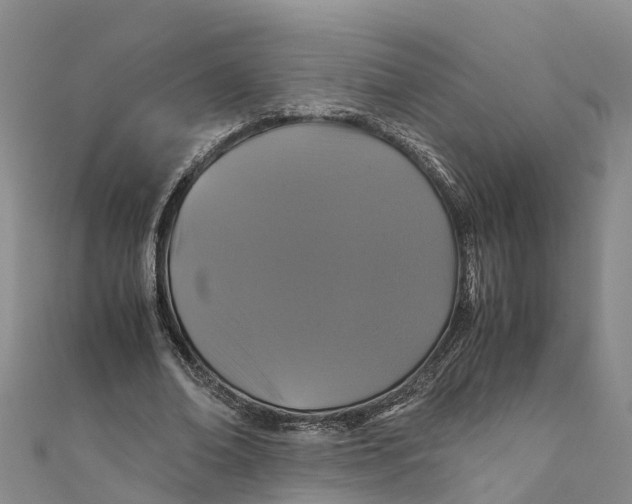 X0000110990678200907101431