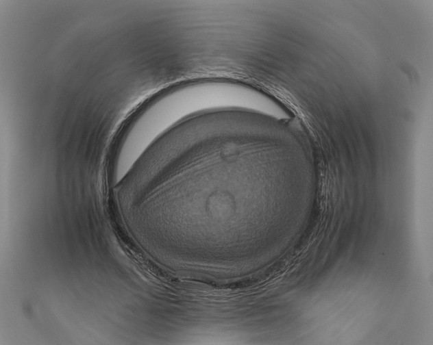 X0000110990680200907101431