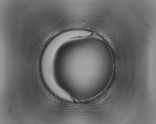 X0000110990681200907101431