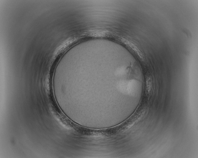 X0000110990682200907101431