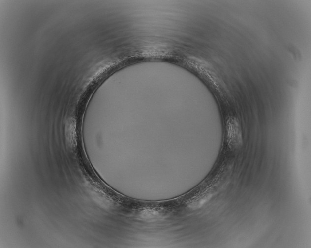 X0000110990684200907101431