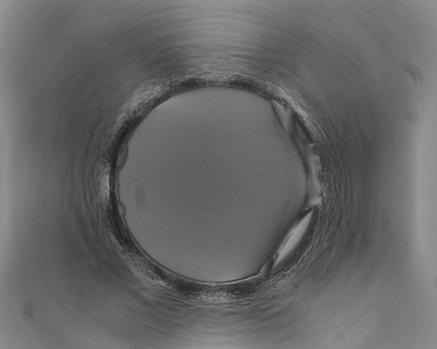 X0000110990685200907101431