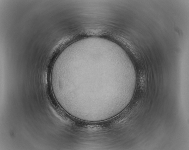 X0000110990686200907101431