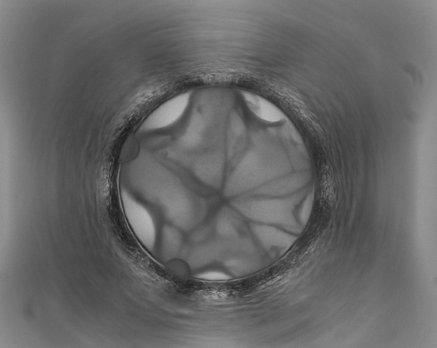 X0000110990687200907101431