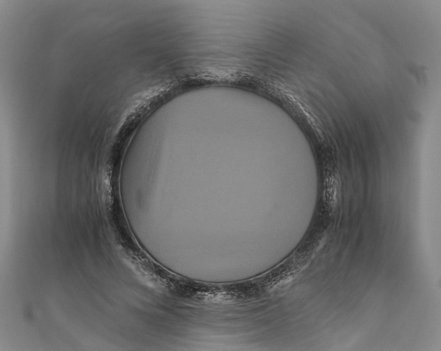 X0000110990688200907101431