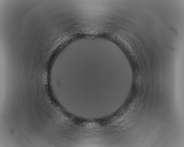 X0000110990689200907101431