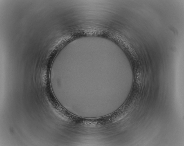 X0000110990690200907101431