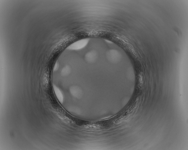 X0000110990691200907101431