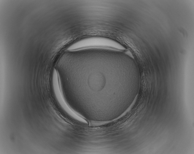 X0000110990692200907101431