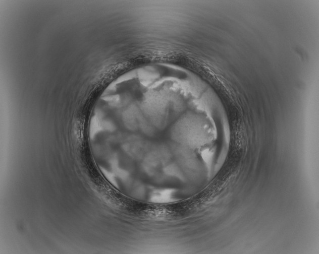 X0000110990695200907101431