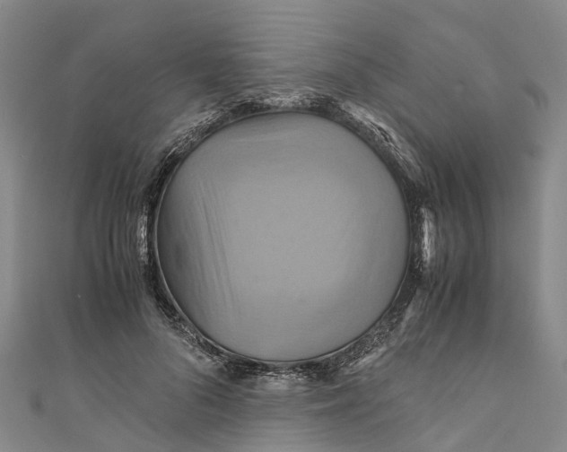 X0000110990696200907101431