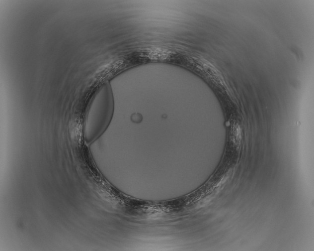 X0000110990697200907101431