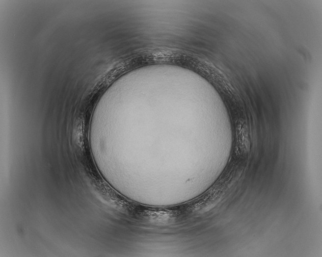 X0000110990698200907101431