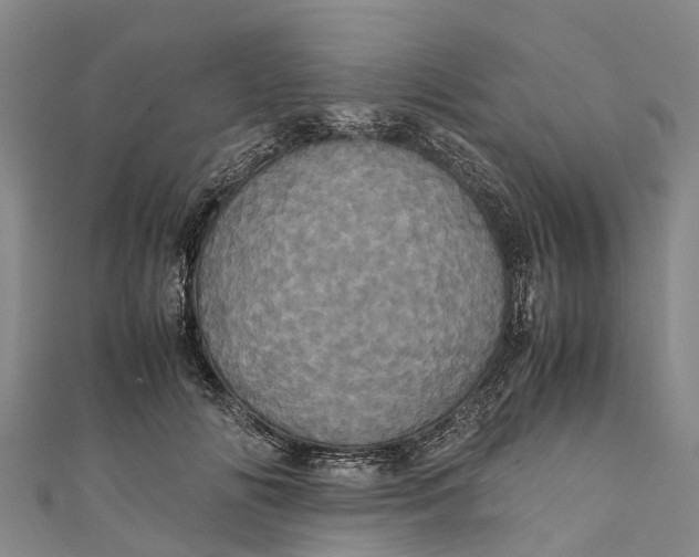 X0000110990702200907101431