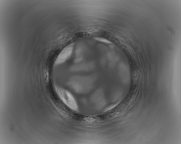 X0000110990703200907101431