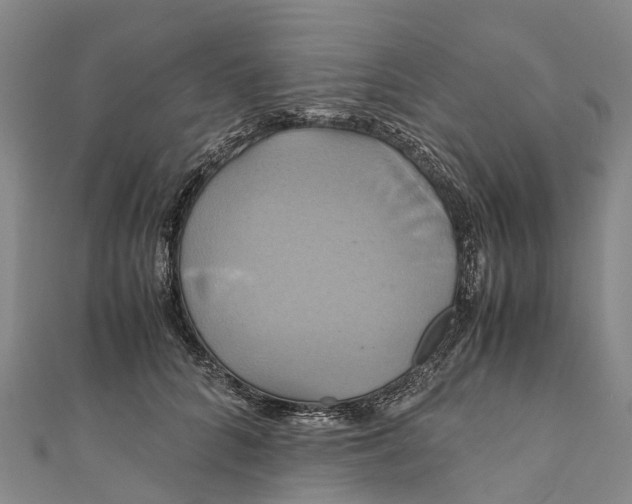 X0000110990704200907101431