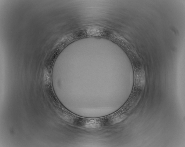 X0000110990705200907101431