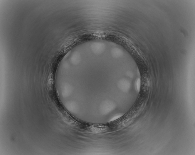 X0000110990707200907101431