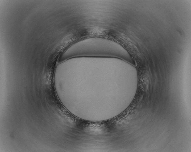 X0000110990708200907101431
