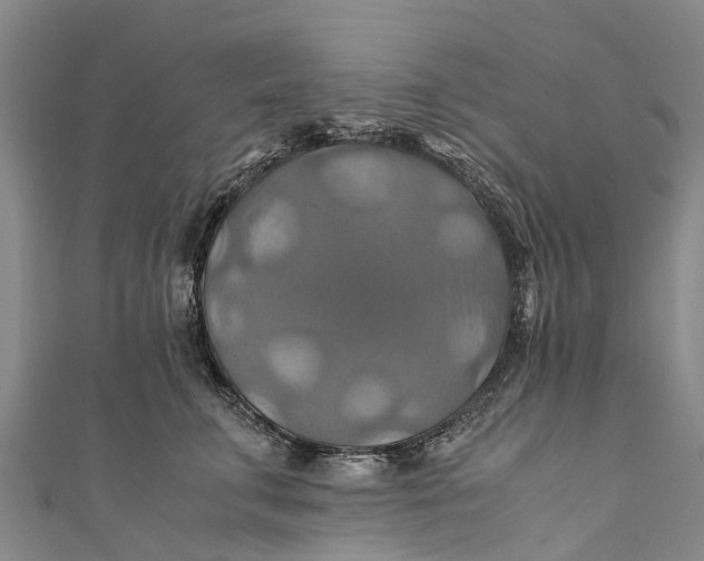 X0000110990711200907101431