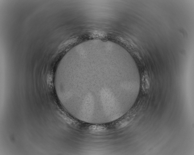 X0000110990714200907101431