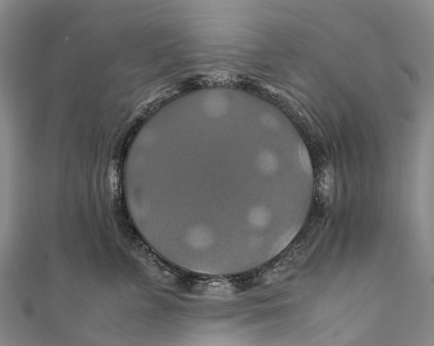 X0000110990715200907101431