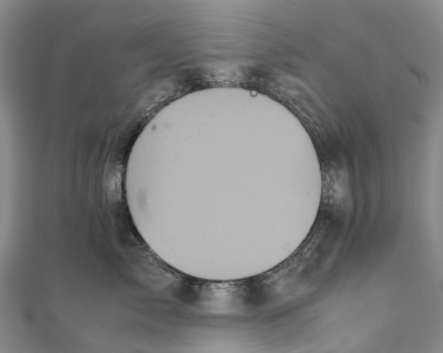 X0000110990717200907101431