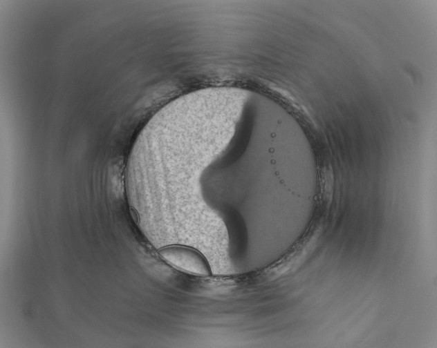 X0000110990719200907101430