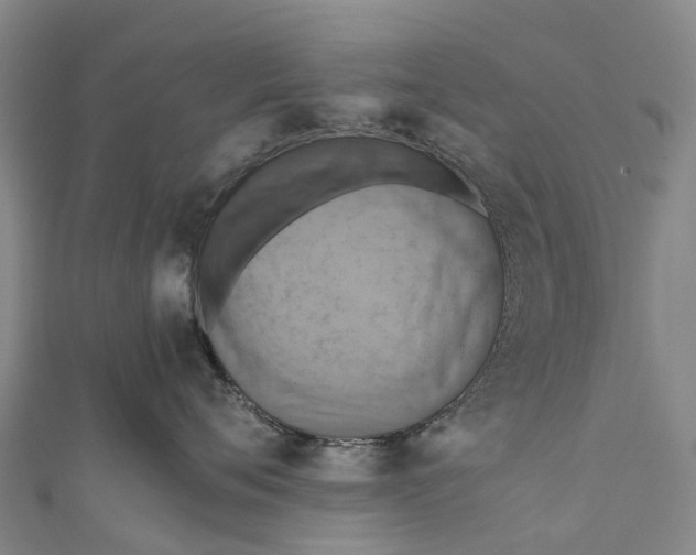X0000110990720200907101430