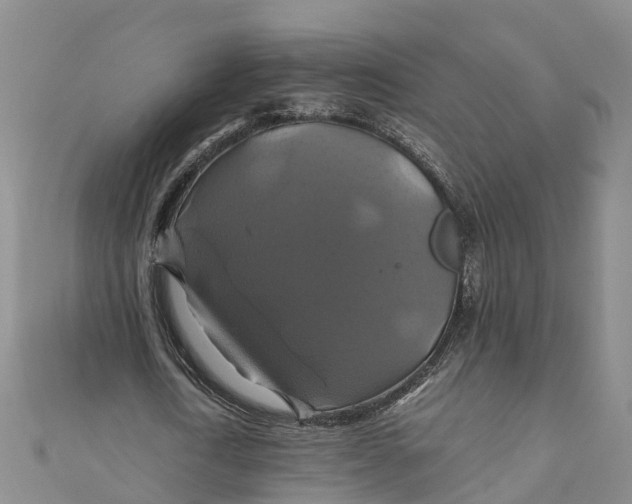 X0000110990722200907101430
