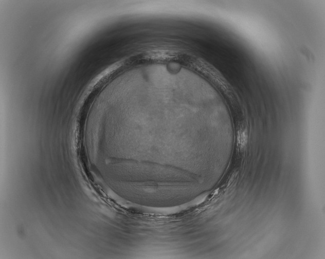 X0000110990724200907101430