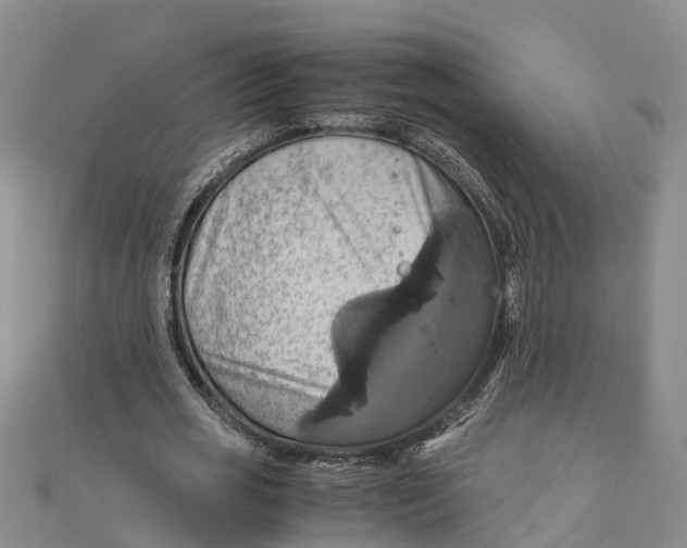 X0000110990725200907101430
