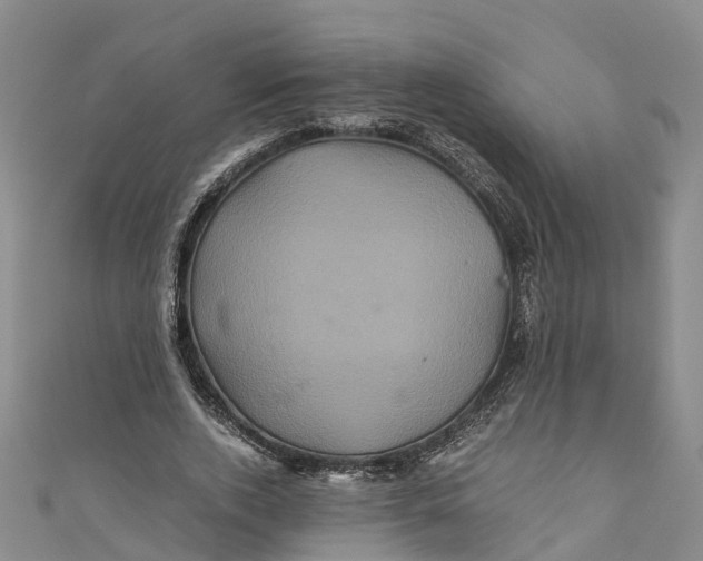 X0000110990728200907101430