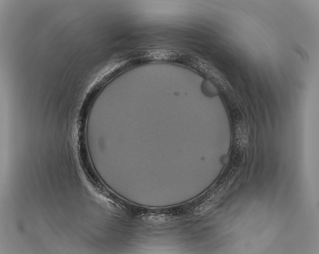X0000110990730200907101430