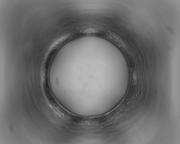 X0000110990732200907101430