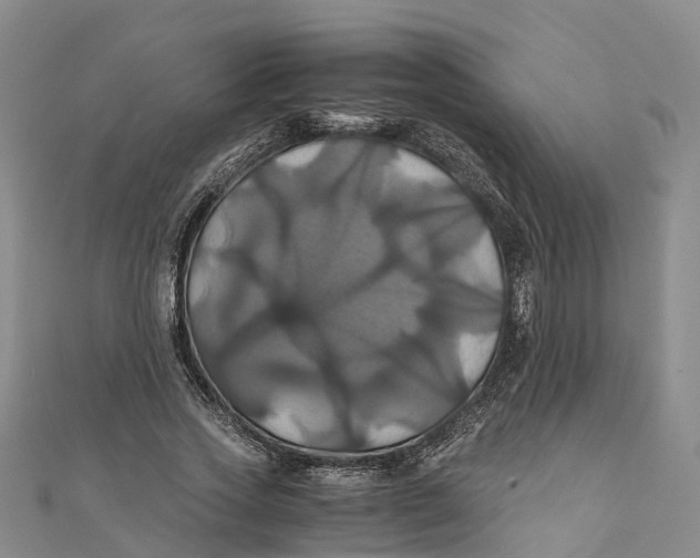 X0000110990733200907101430