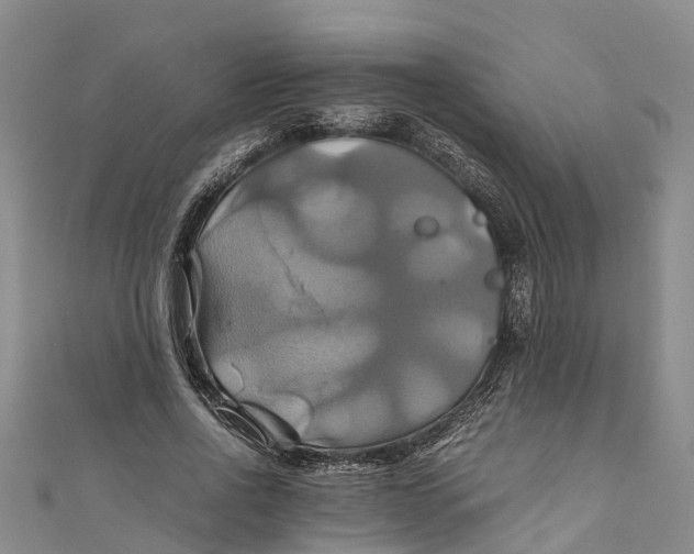 X0000110990734200907101430
