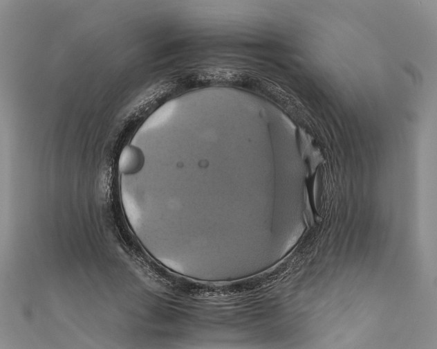 X0000110990735200907101430