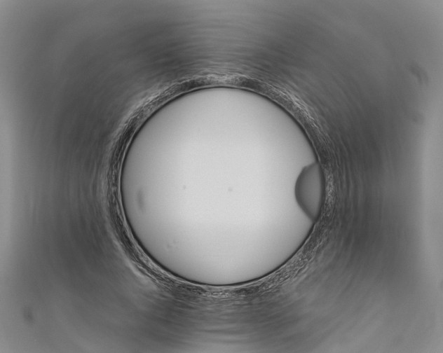 X0000110990736200907101430