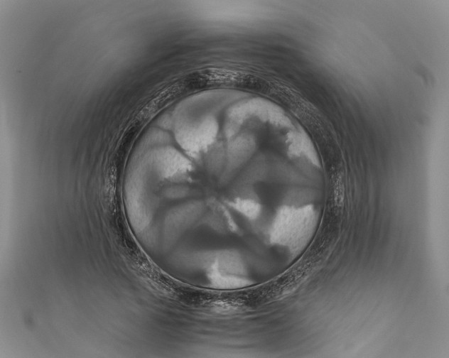 X0000110990737200907101430