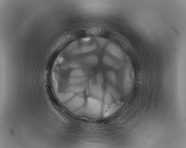 X0000110990738200907101430