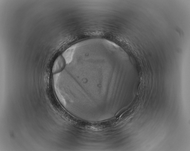 X0000110990739200907101430