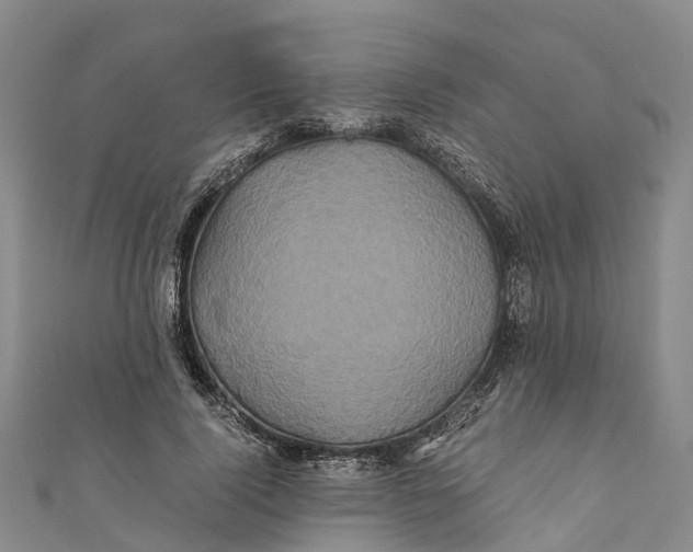 X0000110990740200907101430