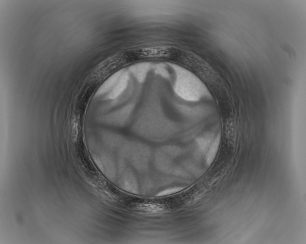 X0000110990741200907101430